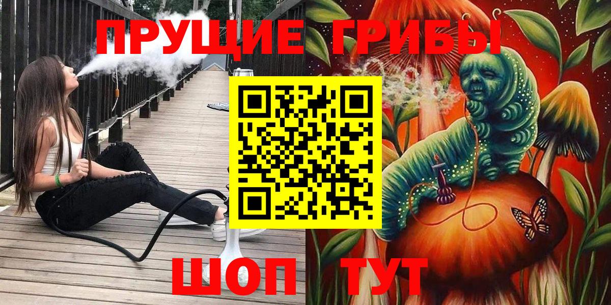 Новошахтинск  Псилоцибиновые грибы ЛСД  Вход с VPN 